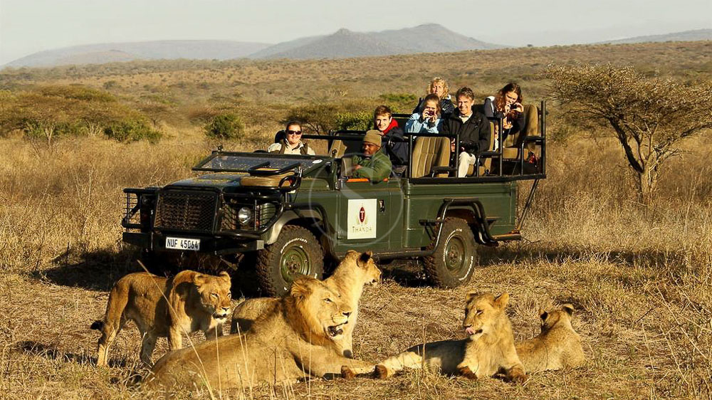 Thanda Game Reserve, Afrique du Sud © Christian Sperka