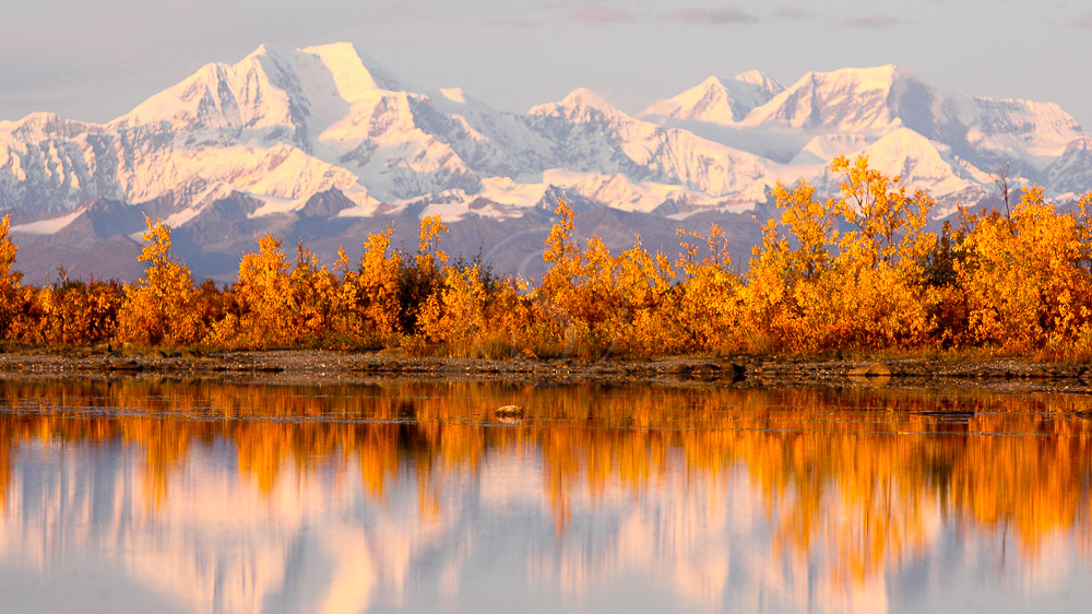 Parc de Denali, Alaska, Etats-Unis © Shutterstock