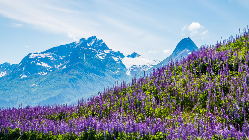 Région de Valdez, Alaska © Shutterstock