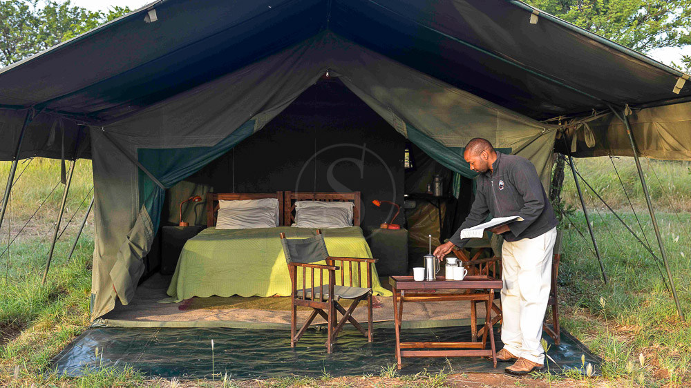 Ronjo Camp dans le Serengeti, Tanzanie
