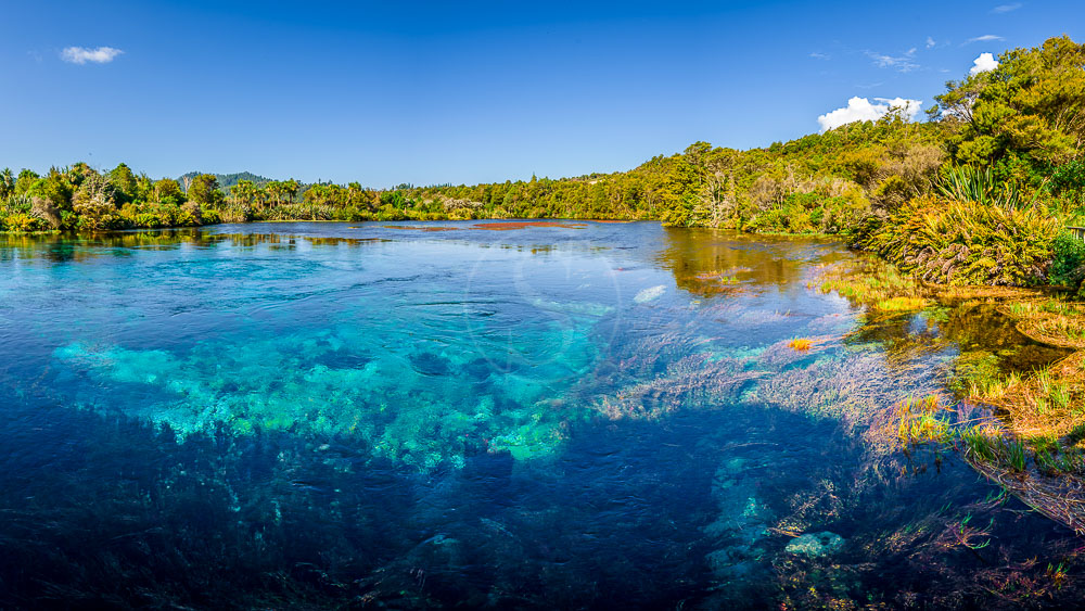 Abel Tasman National Park, Nouvelle Zélande © Shutterstock
