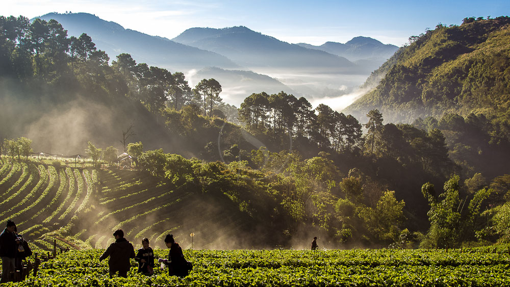 Ambiance de Chiang Mai, Thailande © Shutterstock