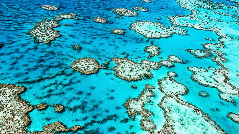 Barrière de corail, Australie © Shutterstock