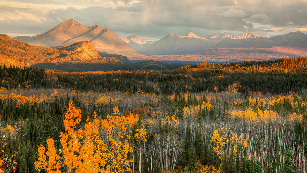 Parc de Denali, Alaska, Etats-Unis © Shutterstock