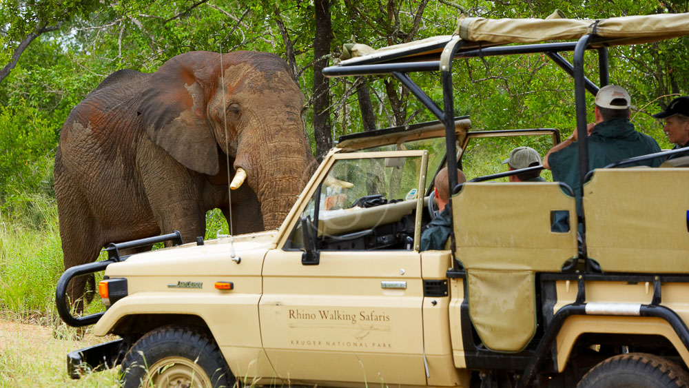 Rhino Post Safari Lodge, Parc Kruger