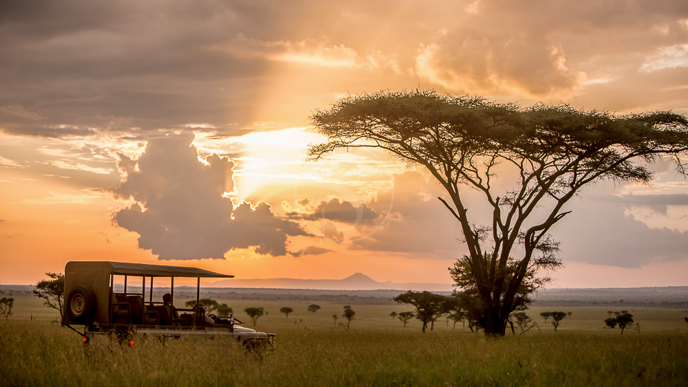Safari dans le Serengeti avec Singita, Tanzanie © Singita