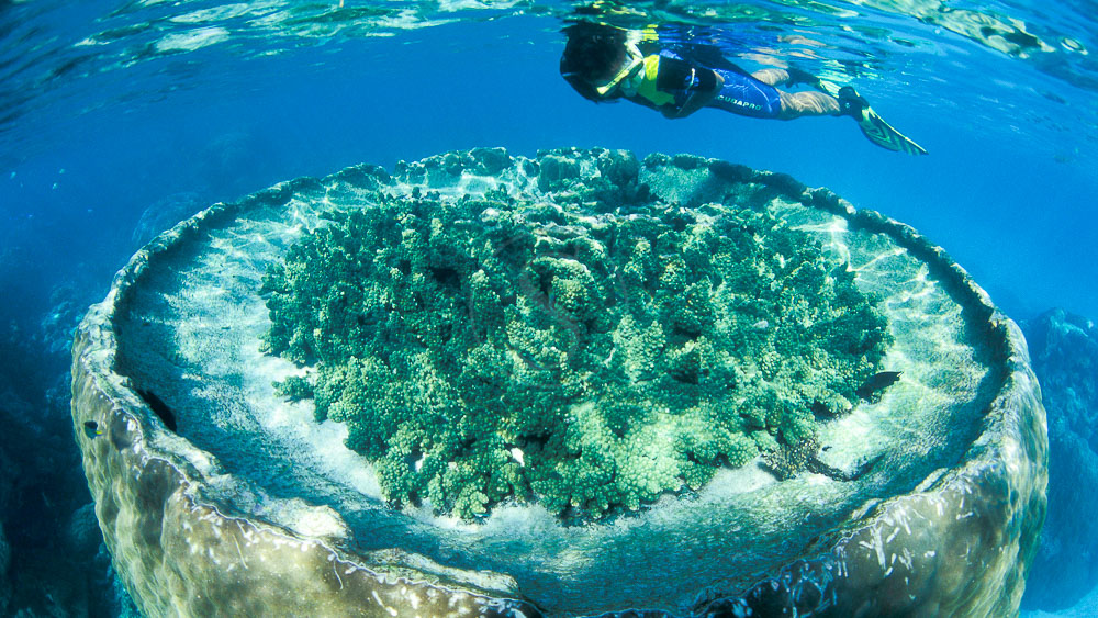 Sal Salis Ningaloo Reef, Australie © Sal Salis