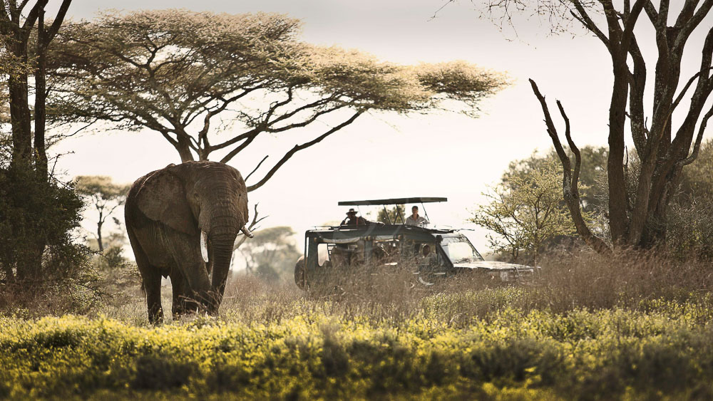 Serengeti Under Canvas, Tanzanie © &Beyond