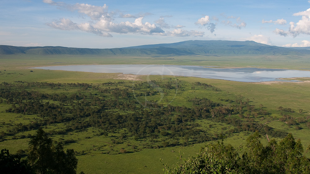 Cratère du Ngorongoro, Tanzanie