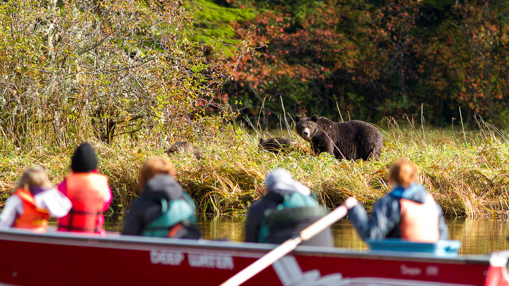 Great Bear Lodge, Canada © Tom Rivest