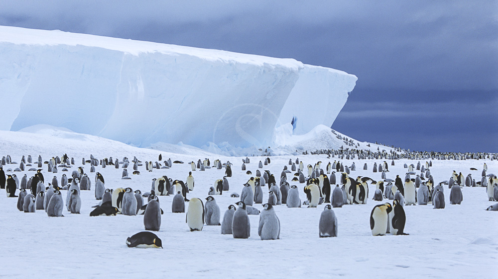Mer de Weddell, Antarctique © Shutterstock