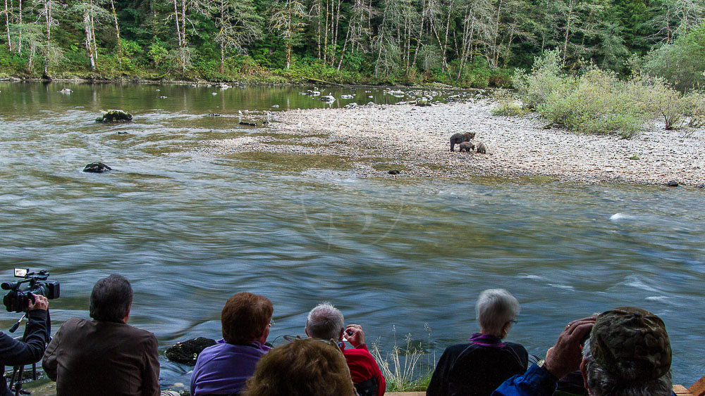 Great Bear Lodge, Canada © Tom Rivest