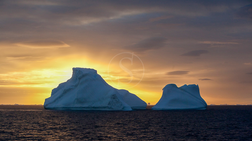 Croisière en Mer de Weddell, Antarctique © Oceanwide Kubny Heiner
