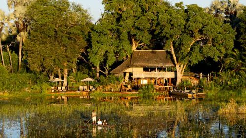 Safari dans le Delta de l'Okavango, au Botswana avec Jacana Camp, par Etendues Sauvages