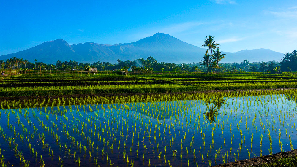 Ile de Lombok, Indonésie