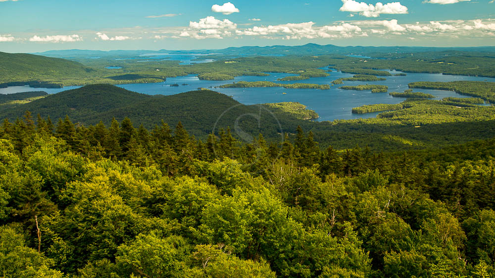 White Mountains, Etats-Unis © Shutterstock