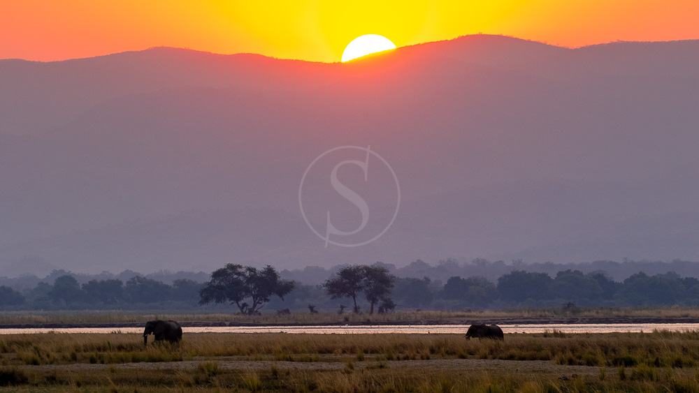 Mana Pools, Zimbabwe © Etendues Sauvages