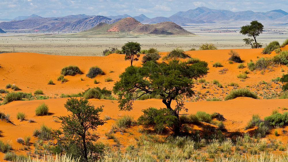 Paysage de la Namib Rand Nature Reserve, Namibie