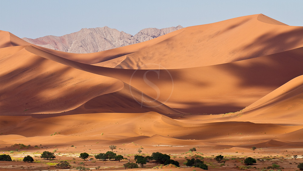 Dunes de Sossusvlei dans le Désert du Namib
