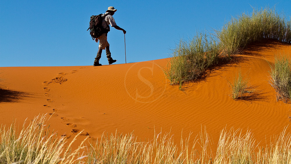 Trek Tok Tokkie, Namibie
