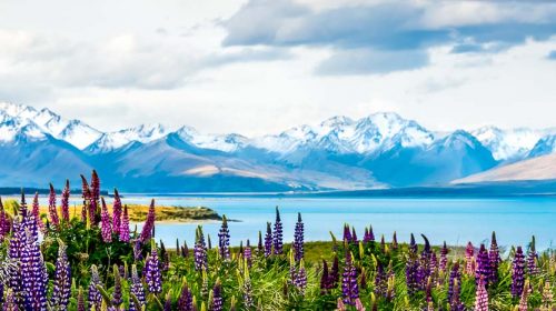 Voyage de luxe en Nouvelle Zélande