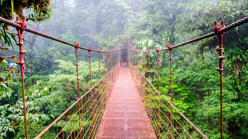 Forêt de Monteverde, Costa Rica