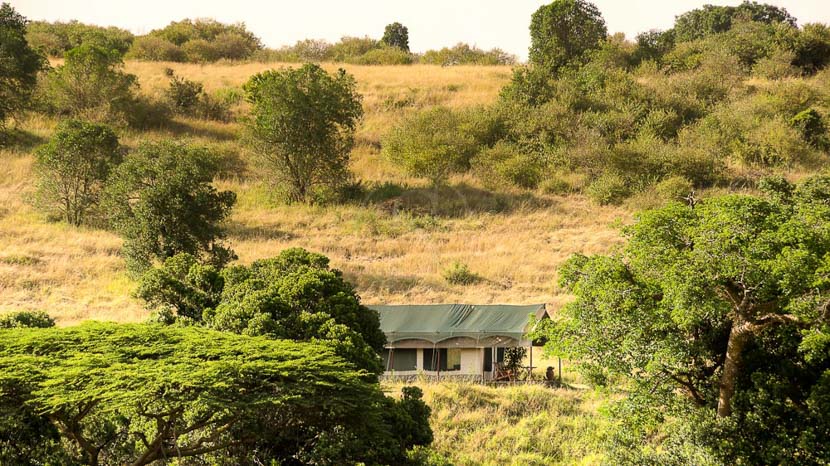Kicheche Mara Camp, Kenya