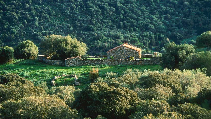 France, Corse du Sud (2A), bergerie A Tiria, Domaine de Murtoli