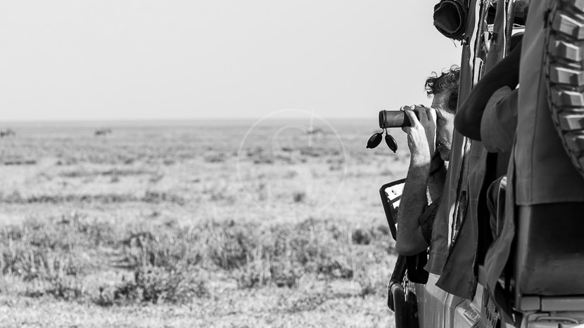 Serian Serengeti Mobile Camp, Tanzanie © Alex Walker's Serian