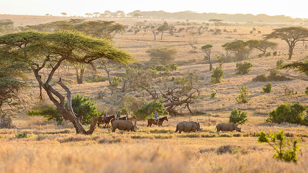 Lewa Wilderness, Kenya © Lewa Wilderness