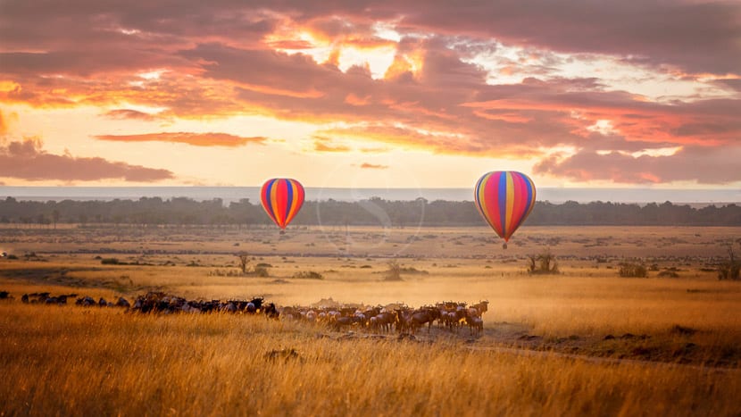 Survol du Masai Mara en ballon, Kenya © Shutterstock