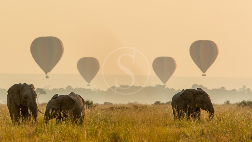 Angama Mara, Kenya © Angama Collection