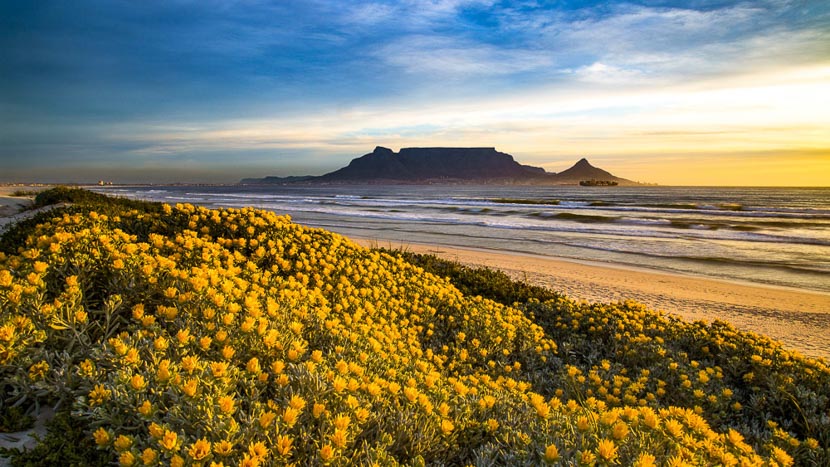 Cape Town, Afrique du Sud © Shutterstock