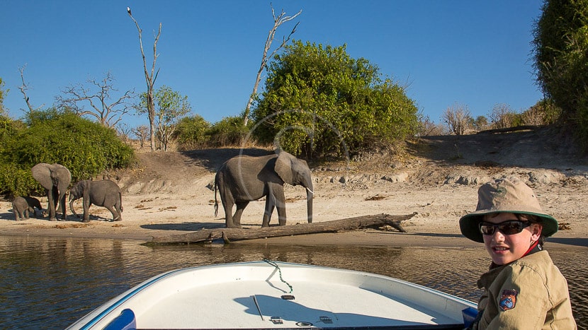 safari au Botswana © Etendues Sauvages