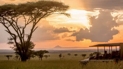 Safari de luxe en Tanzanie © Singita